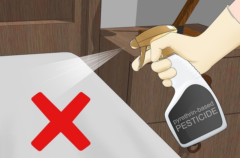 Do bed bugs fly or jump? 33rd Square