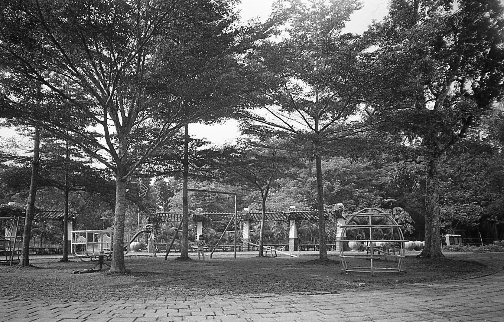 Minolta AF101R - A guest review by Maulana Randa - 35mmc