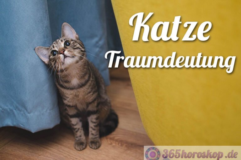 Traumdeutung Katze Was bedeutet eine Katze im Traum?