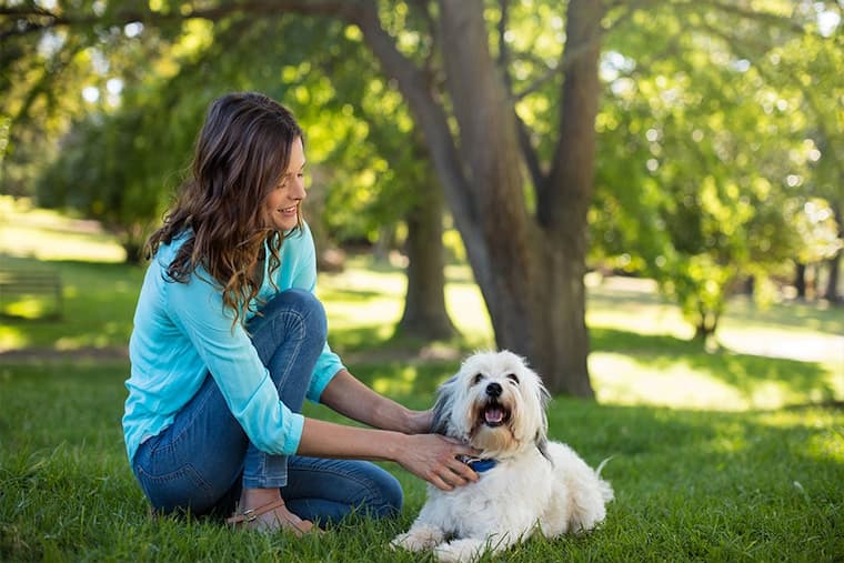 Top 9 Dog Care Essentials Every Pet Owner Will Benefit From 3 Benefits Of