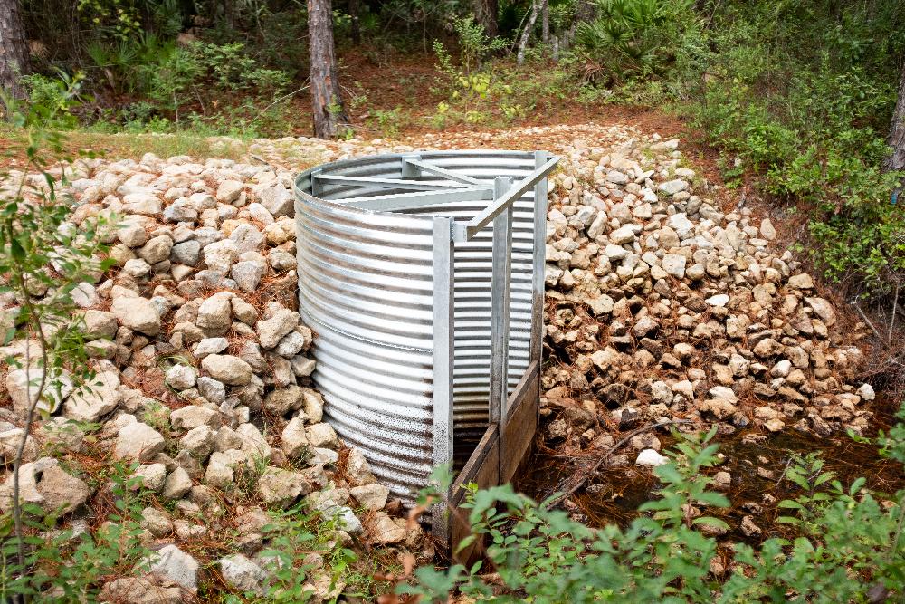 Working Forests Protect Water Quality Across the U.S.