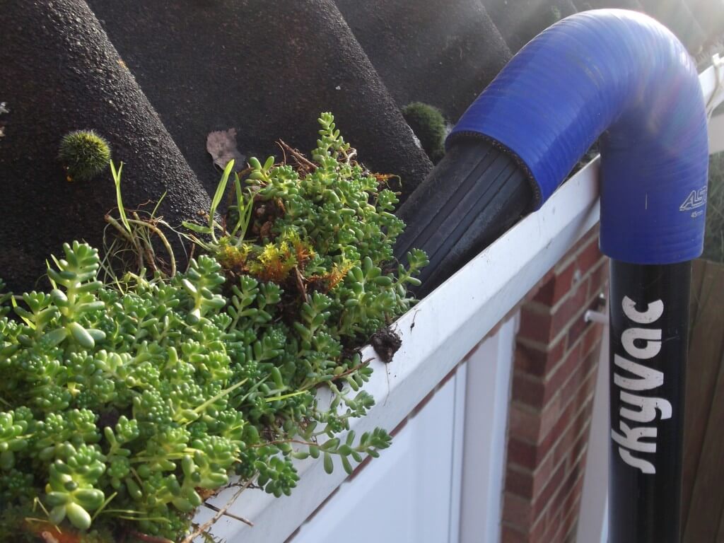 Gutter Cleaning Surrey Hampshire Berkshire 3 Counties Cleaning