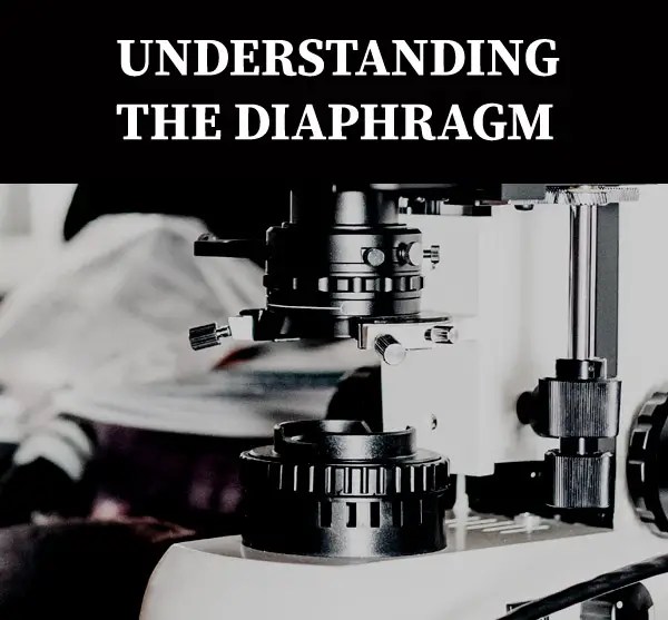 Understanding and Adjusting Your Microscope Diaphragm