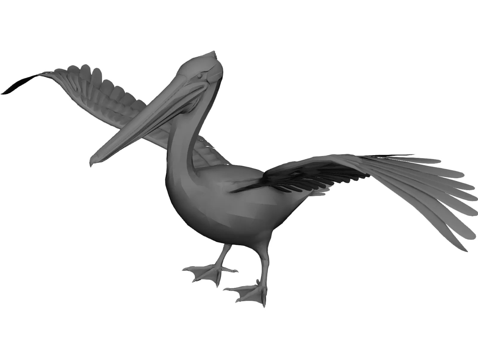Pelican 3D Model 3D CAD Browser