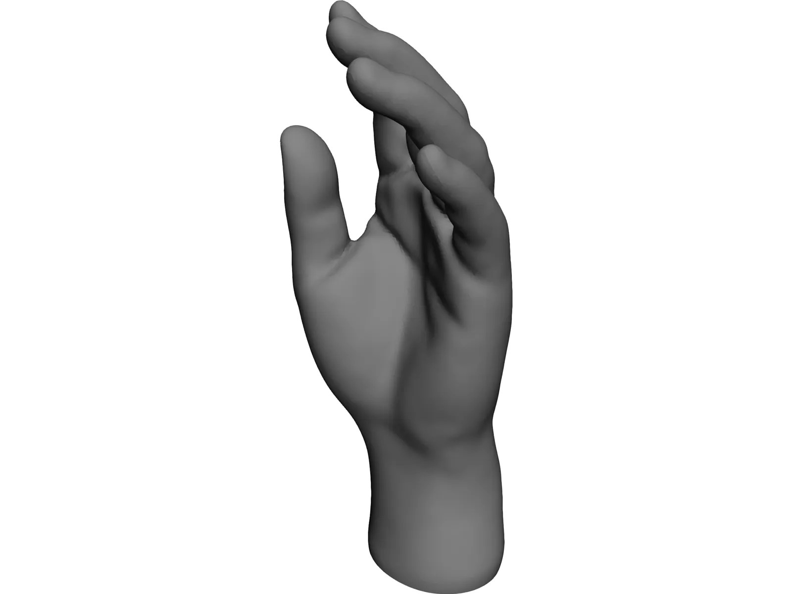 Hand 3D Model 3D CAD Browser