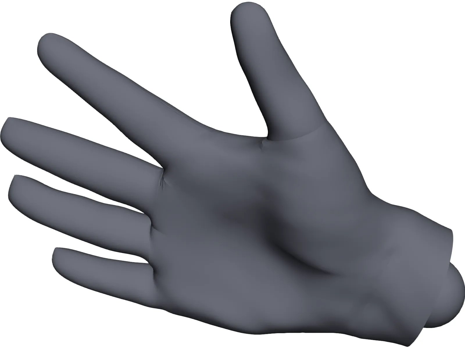 Human Hand CAD Model 3DCADBrowser