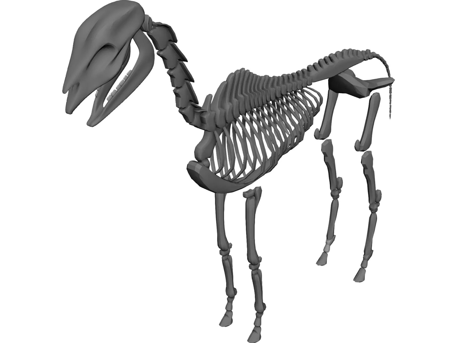 Horse Skeleton 3D Model 3D CAD Browser
