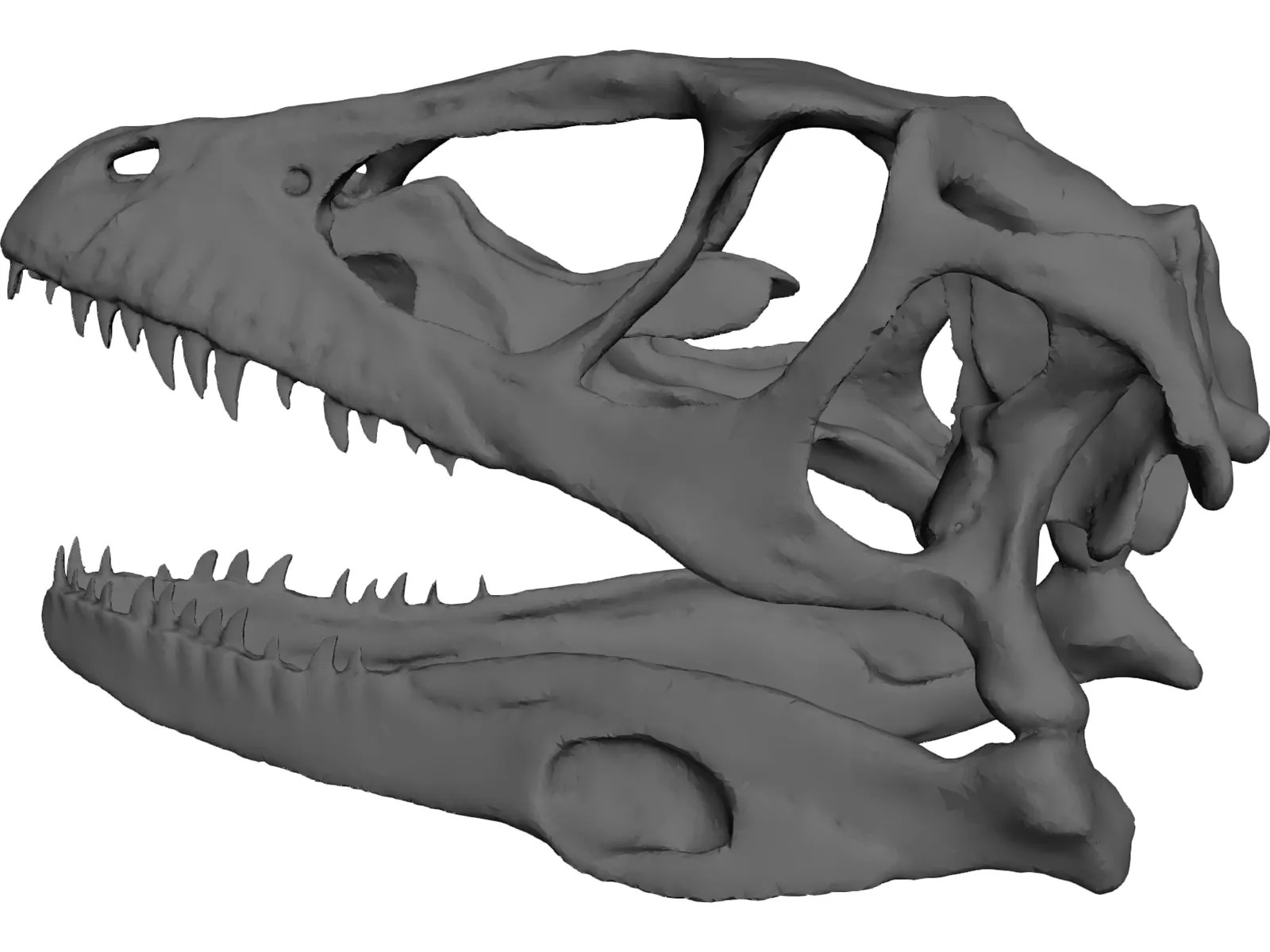 Dinosaur Skull 3D Model 3DCADBrowser