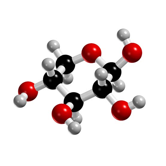 Xylose Sugar