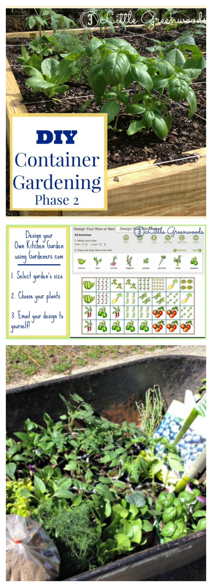 How to Plan a DIY Container Garden - 3 Little Greenwoods