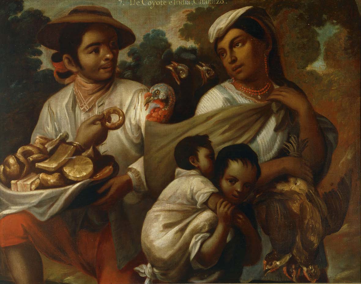 Chamizo Blanco . De Coyote e India, Chamizo - 3 Museos