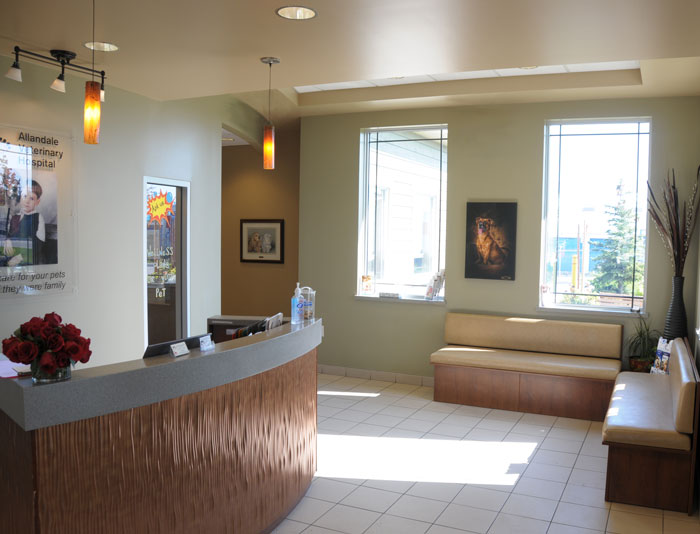 Allandale Veterinary Hospital 3stones architecture + design