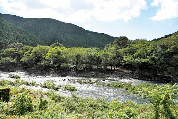 三原キャンプ場 せいぶ印刷工房 はたもーら