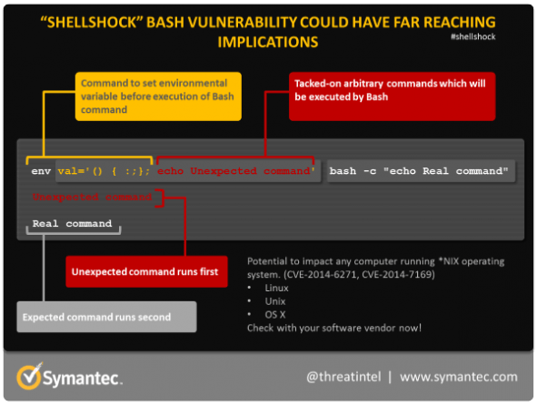 shellshock command breakdown