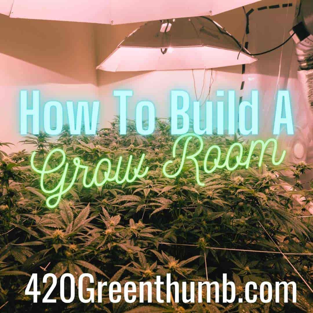 How To Build A Grow Room In 3 Easy Steps