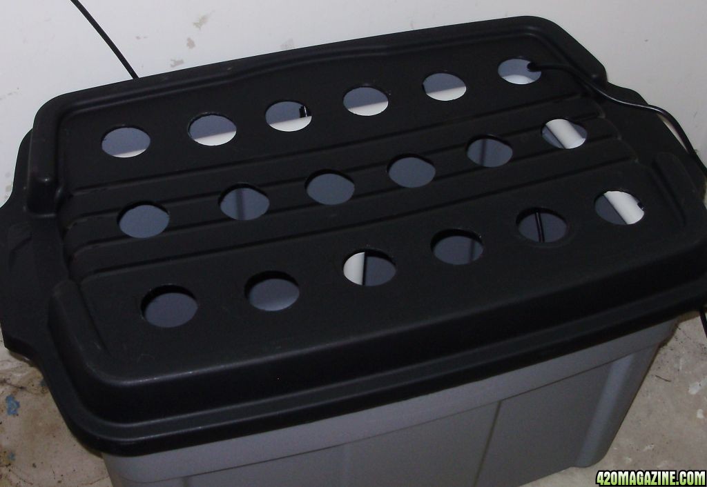 My DIY EZCloner (really good way to clone) 420 Magazine