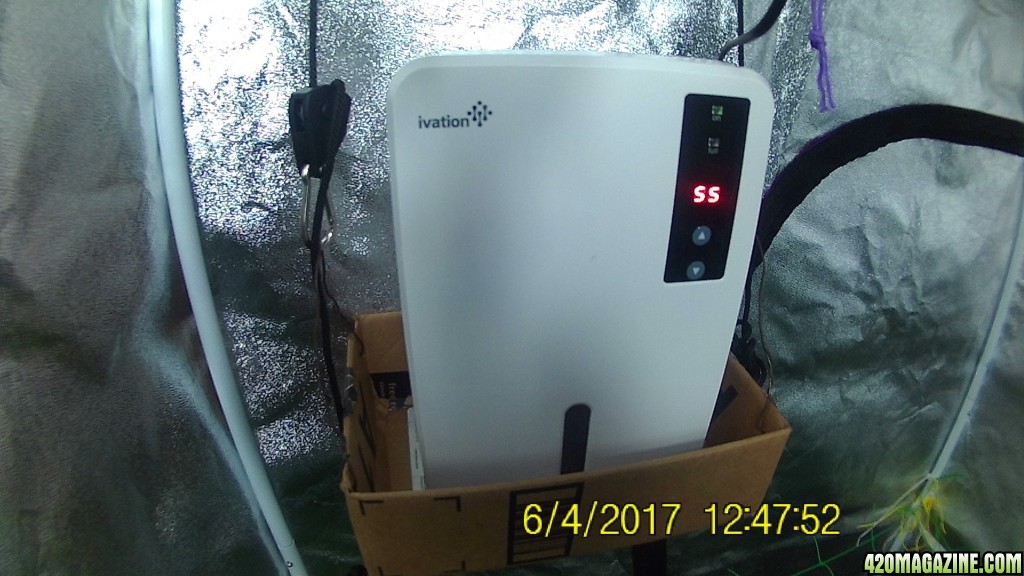 Small low watt dehumidifier for tent setup 420 Magazine