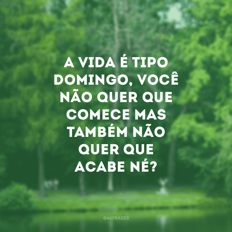 34 frases de Domingo para começar a semana bem