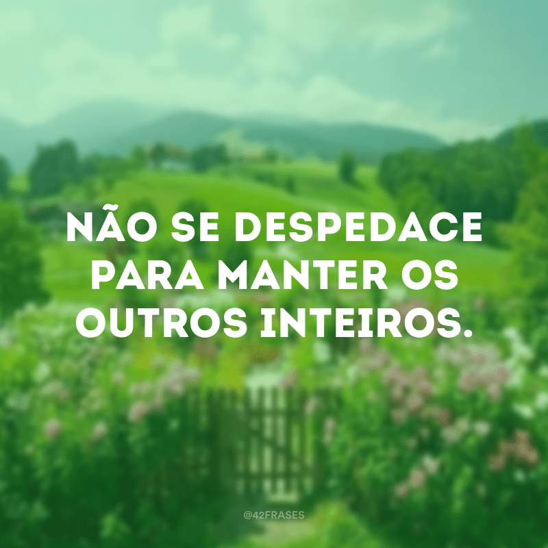 65 frases de amorpróprio para se sentir completo consigo