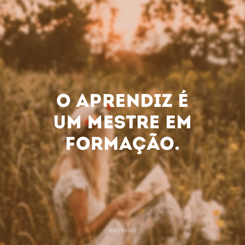 55 frases de aprendizado para você refletir e melhorar a cada dia