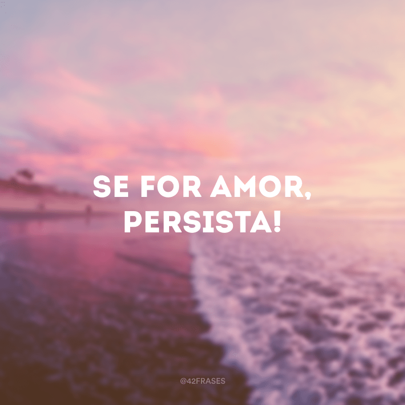 49 frases de persistência para você não desistir dos seus
