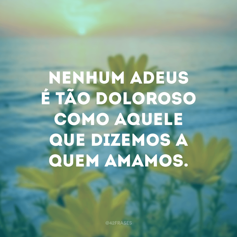 Frases De Despedida De Amor Eterno