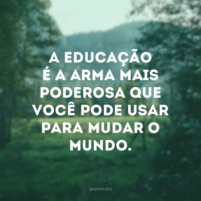 76 frases sobre educação para refletir sobre esse tema tão importante