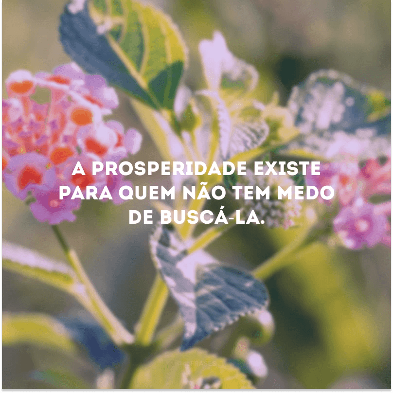 40 frases de prosperidade para quem quer ser bemsucedido