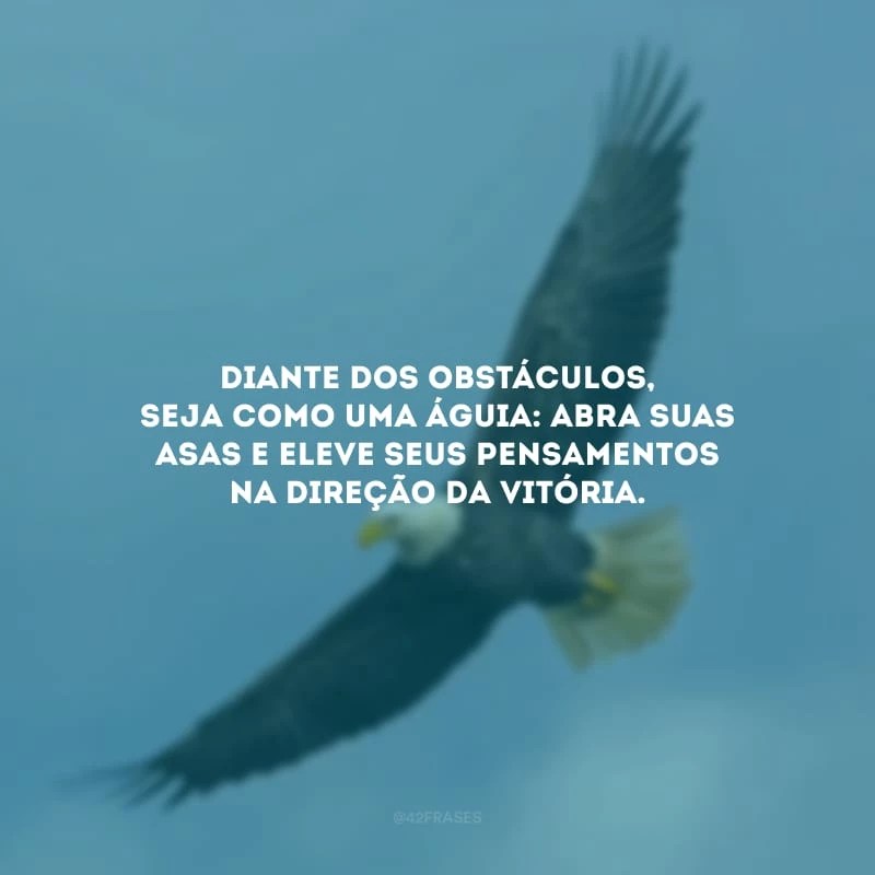 30 frases sobre águia que vão despertar as suas virtudes