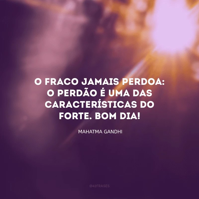 30 frases de bom dia com sabedoria para começar bem a manhã