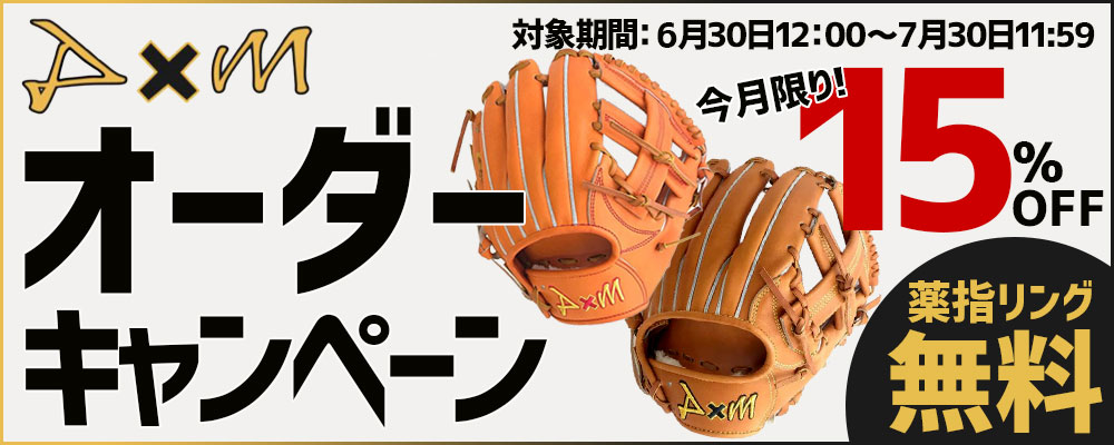 HATAKEYAMA - ディーバイエム 硬式 キャッチャーミット C100 湯もみ型付け済み ディーバイエム 硬式 キャッチャーミット C100 湯もみ型付け済み