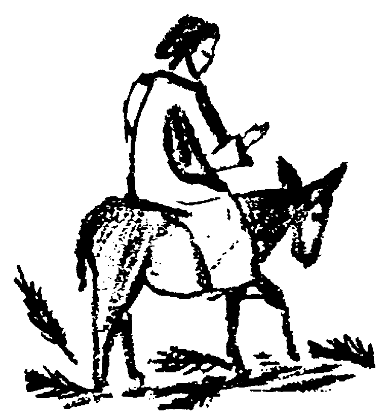 How to Draw Jesus on a Donkey