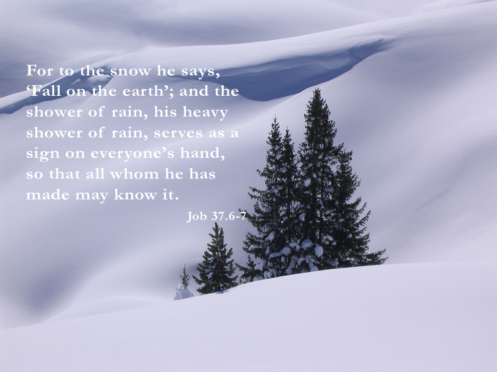 Job 37.67 Poster For to the snow he says, "Fall on the earth"; and