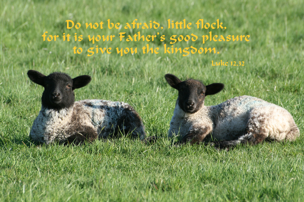 Luke 12.32 Poster Do not be afraid, little flock, for it is your