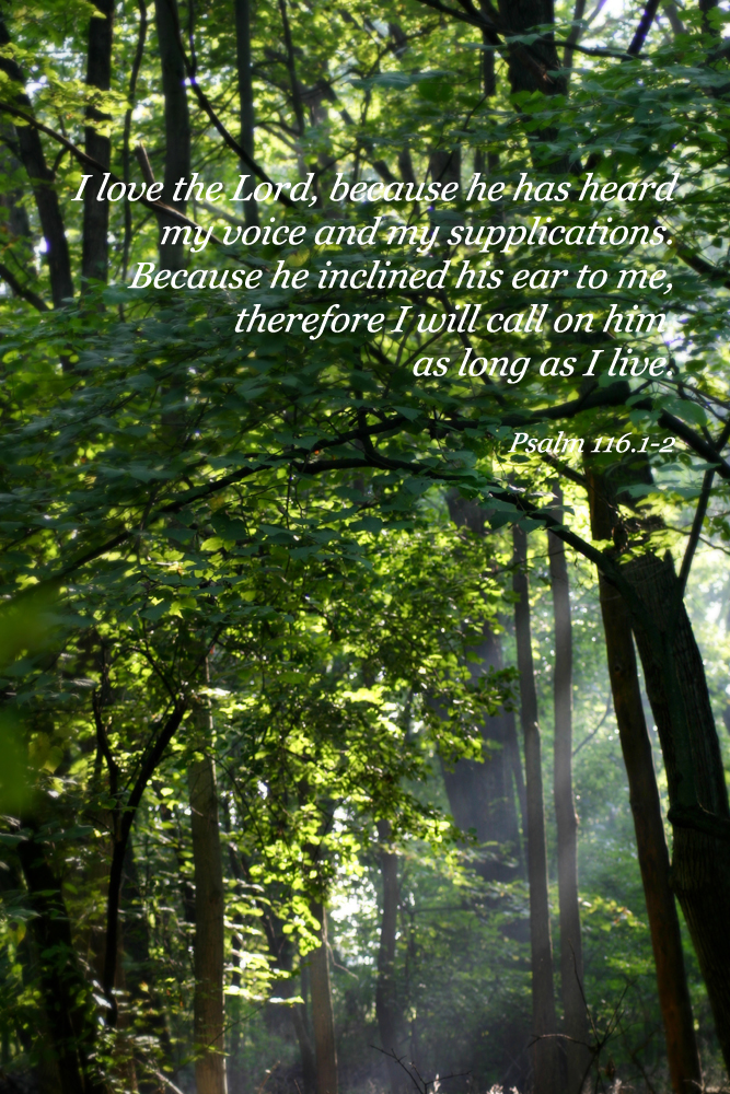 Psalm 116.2 Poster "I love the Lord becasue he has heard my