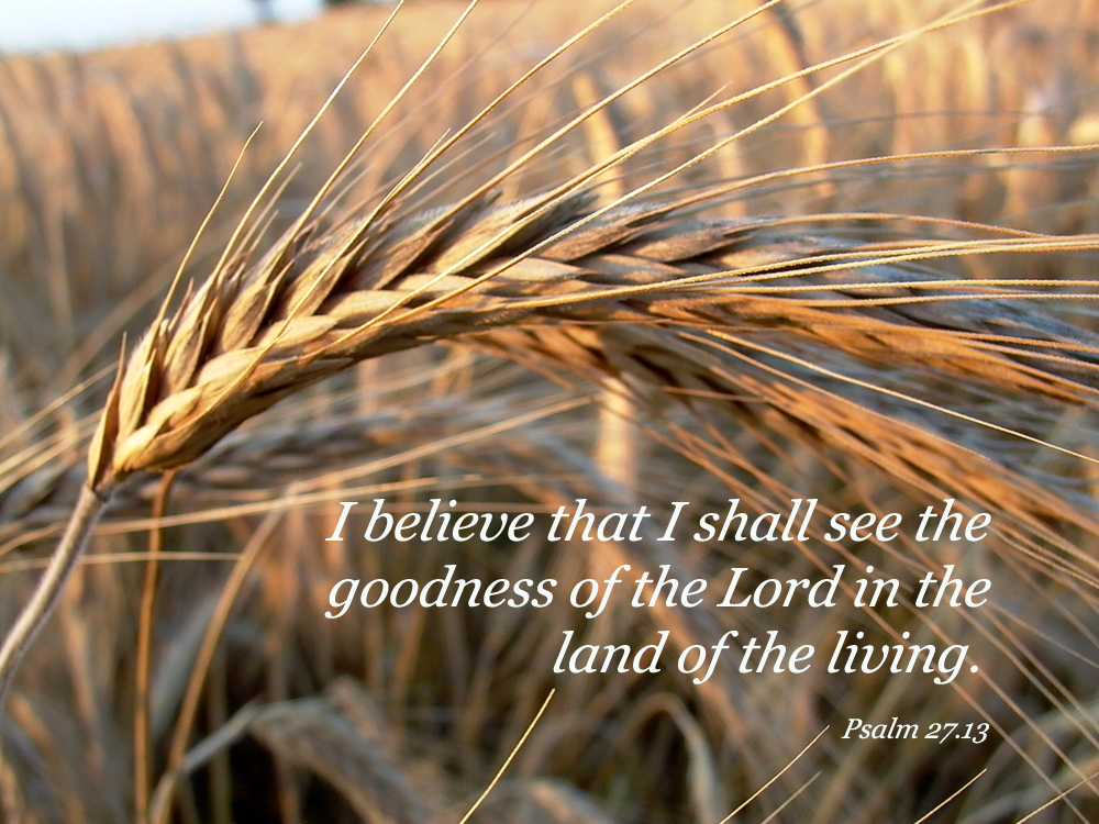 Psalm 27.13 Poster "I believe that I shall see the goodness of the Lord in the land of the