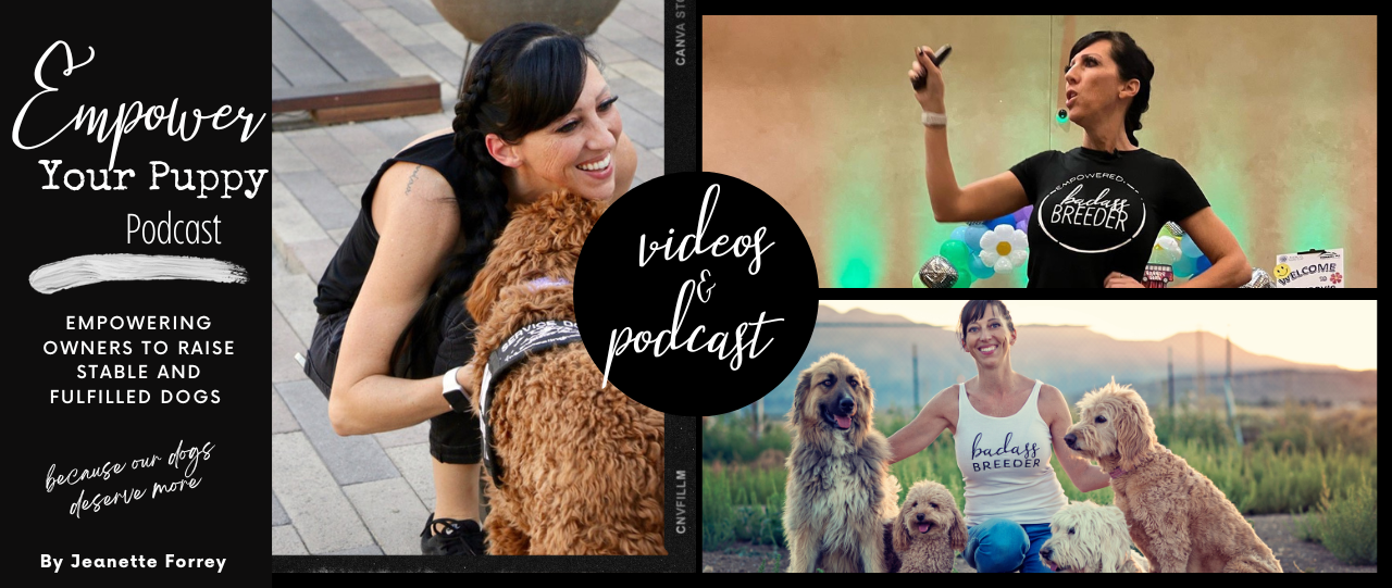 Goldendoodle Breeder Las Vegas Badass Breeder 4E Kennels