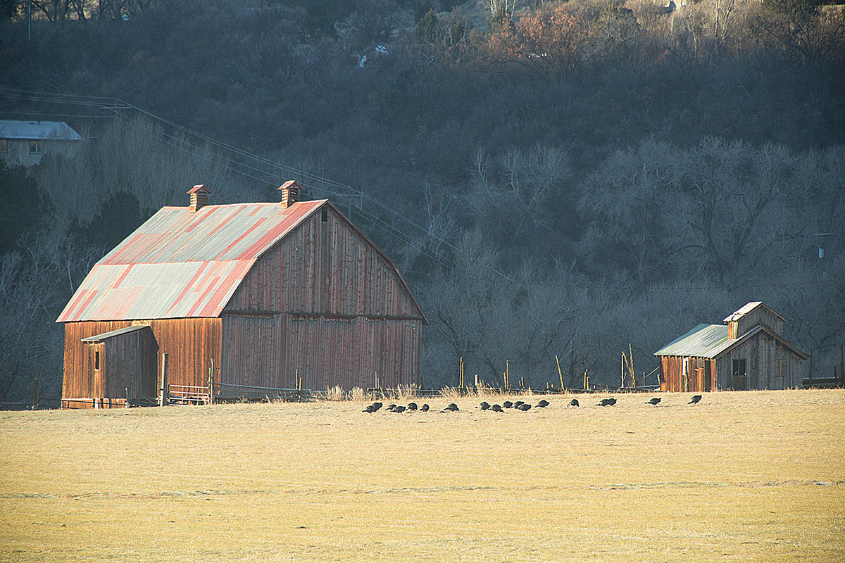 4 Mile Ranch HOA Glenwood Springs, Colorado