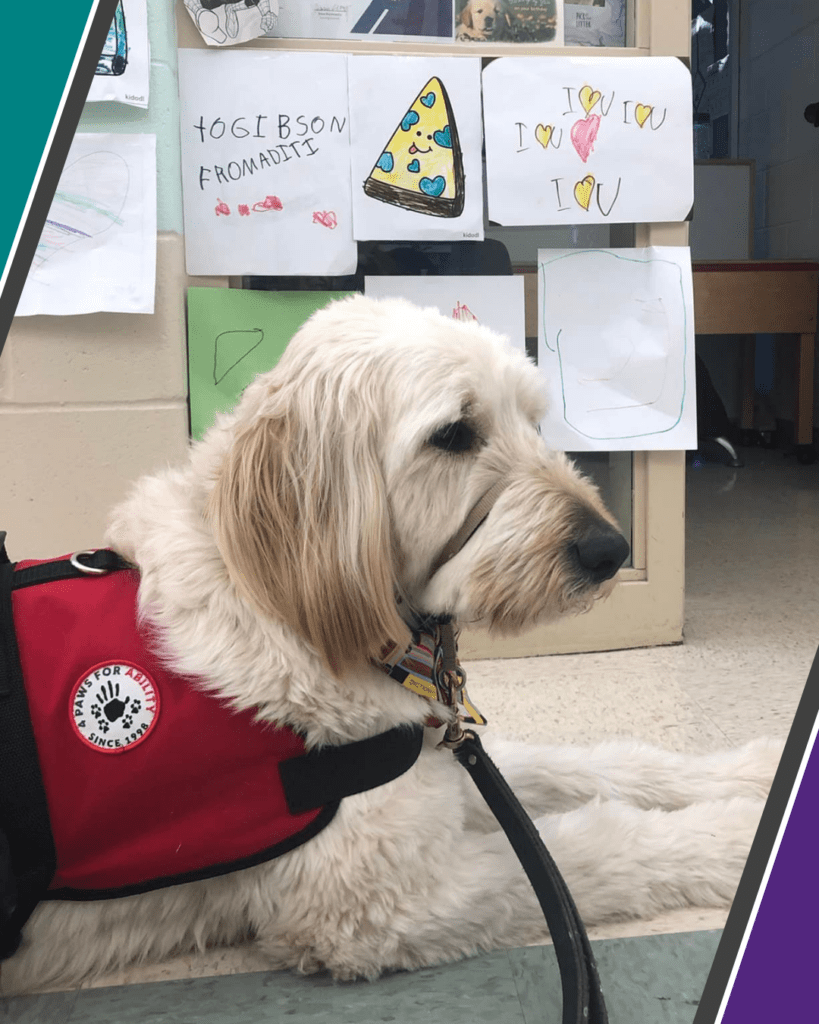 Facility Dogs 4 Paws for Ability