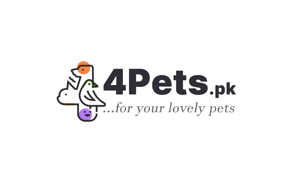4pets.pk Online Pets Shop in Karachi, Pakistan