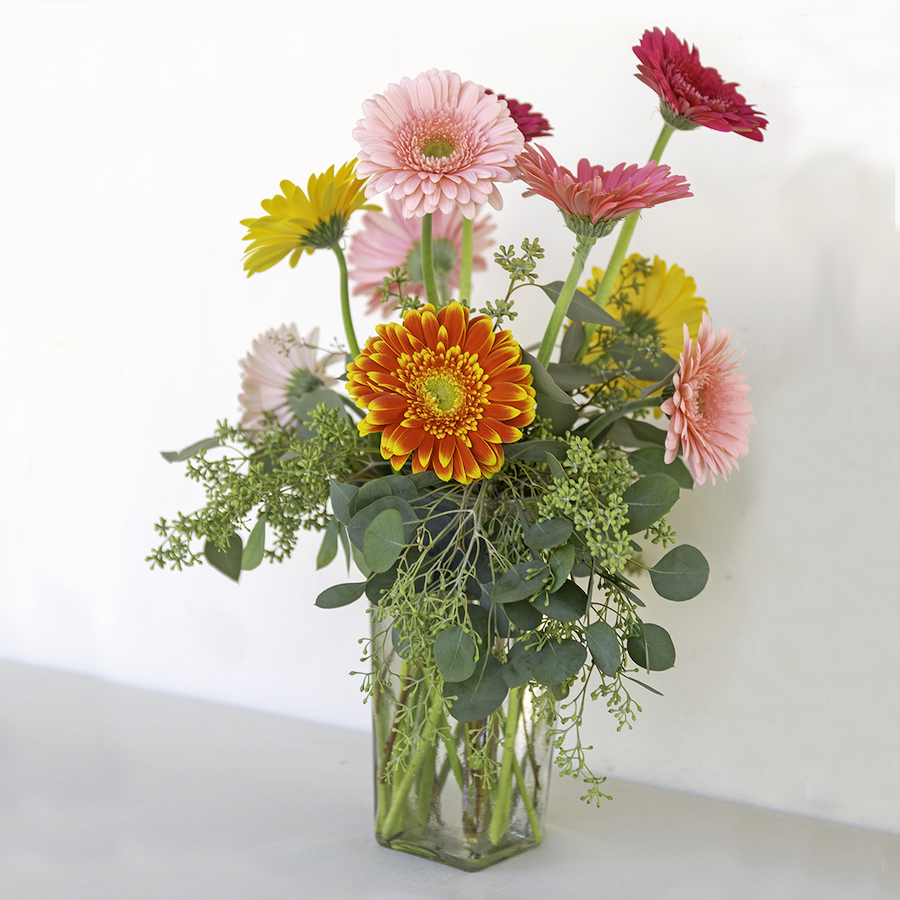 Assorted Gerbera Daisies Flower Arrangement San Diego