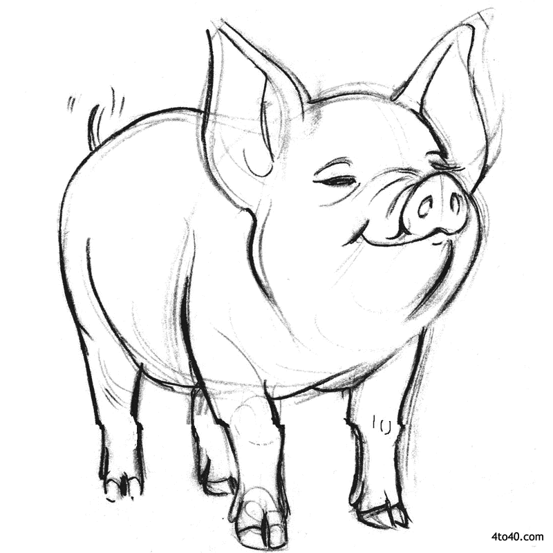 Smiling Pig Coloring Page Kids Portal For Parents
