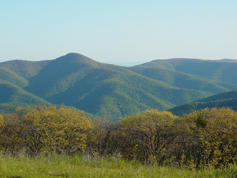 4x4 Icon Switzer Dam, Dunkle Hollow, Flagpole & Meadow Knobs, Old
