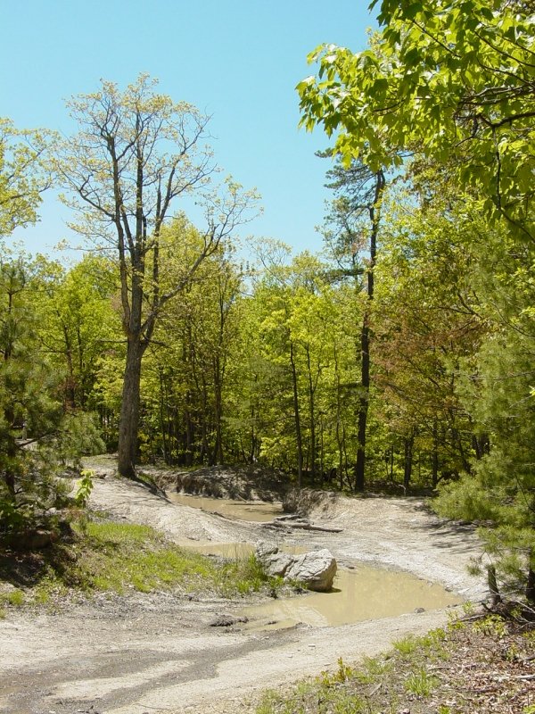 4x4 Icon Switzer Dam, Dunkle Hollow, Flagpole & Meadow Knobs, Old