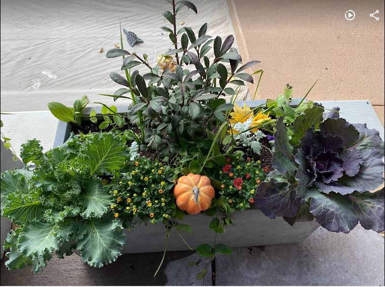 Create Stunning Fall Outdoor Flower Arrangements 10 Tips for Eye