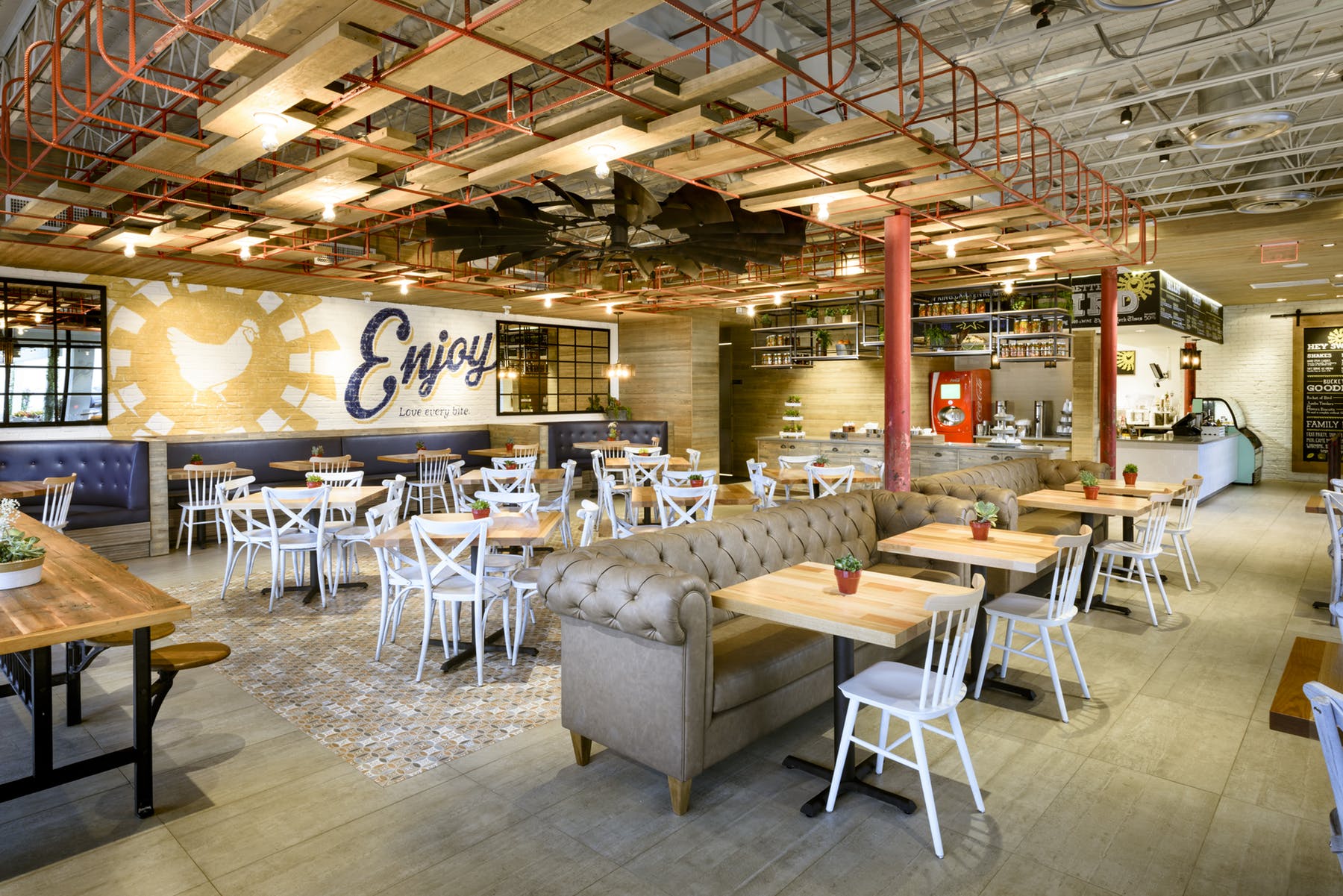 Spring Chicken 50 Eggs Hospitality Group