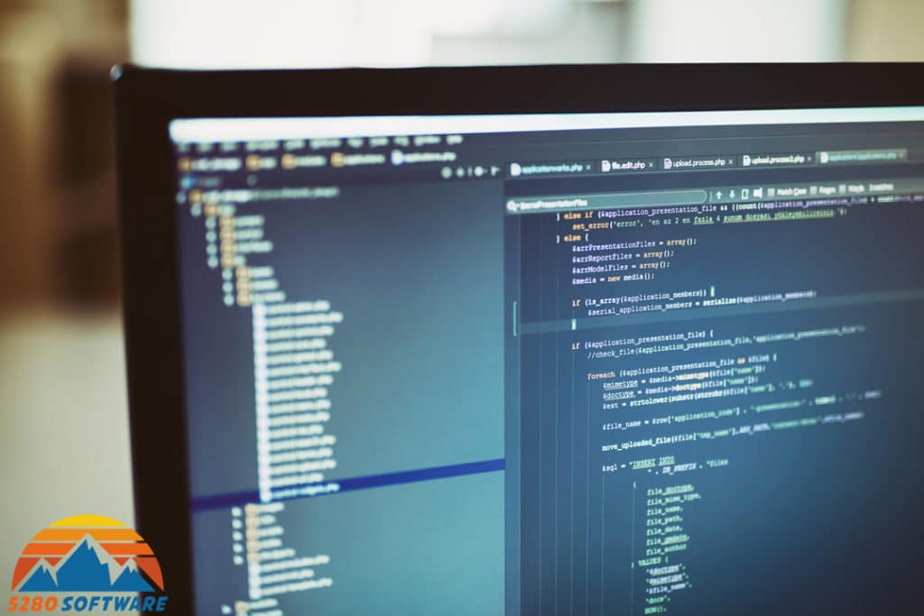 Advantages and Disadvantages of Custom Software Development 5280 SOFTWARE