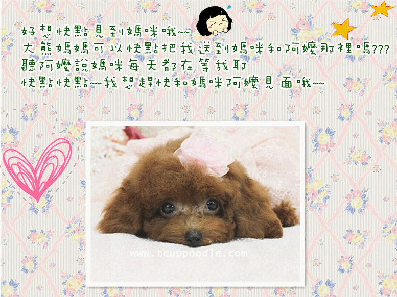 thepoodles,_大山谷图库