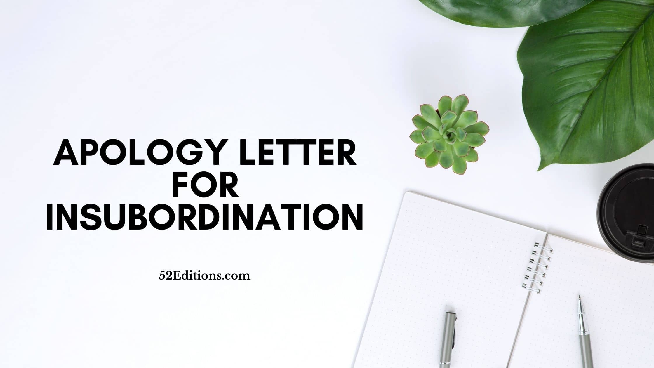 Query Letter Format For Insubordination
