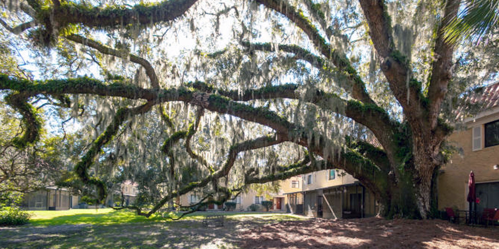 The Carlton at Oak Landing